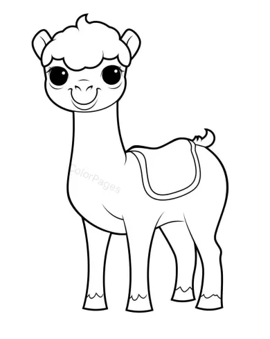 Animal Drawing  Page