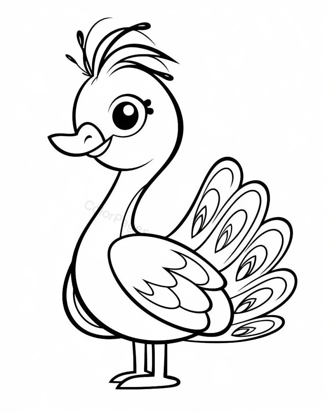 Animal Drawing  Page