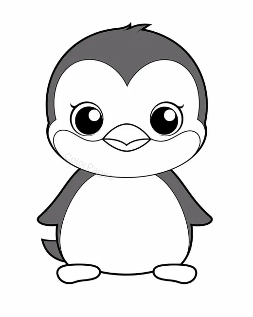 Animal Drawing  Page preview