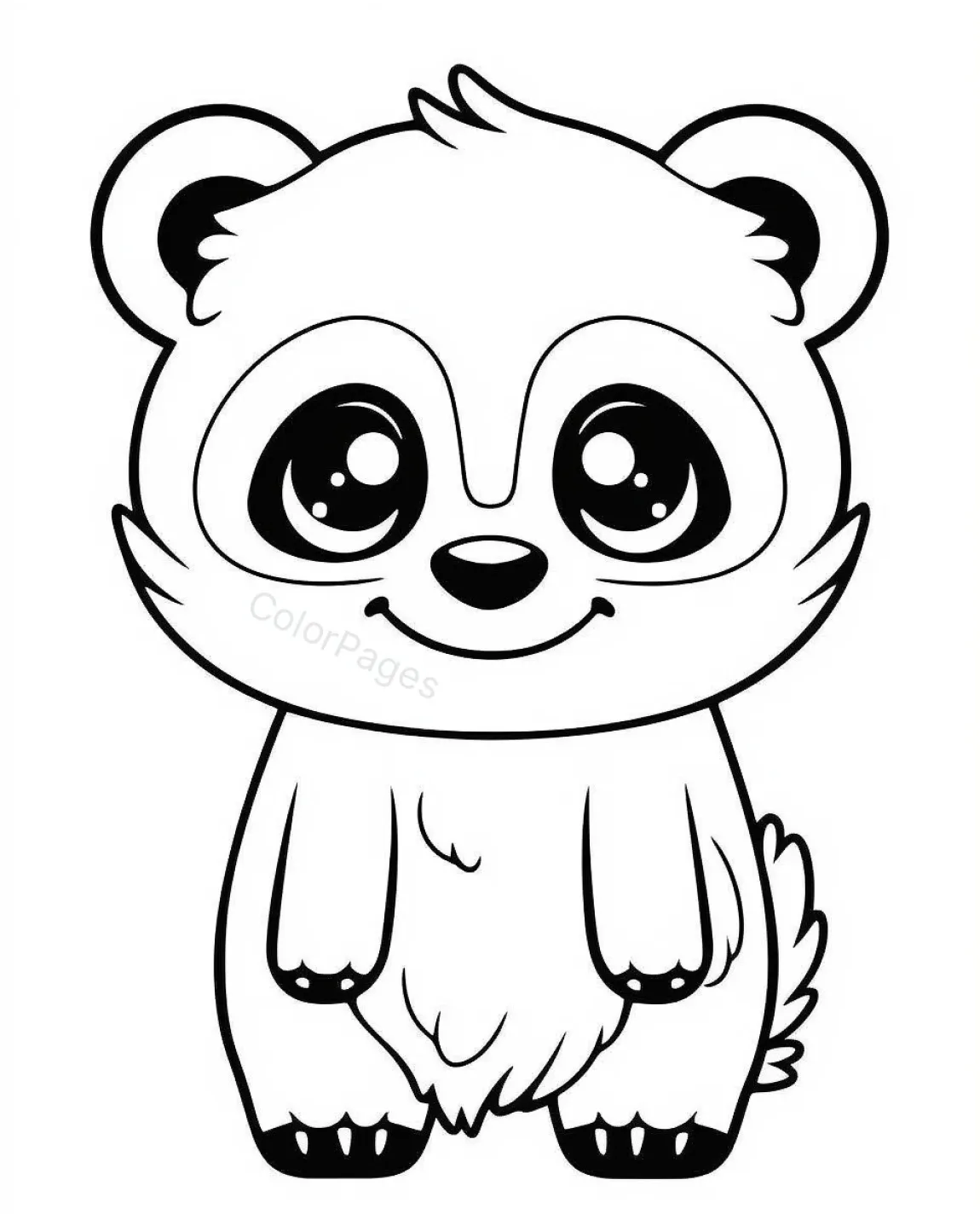 Animal Drawing  Page